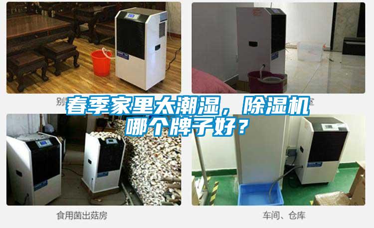 春季家里太潮濕，除濕機哪個牌子好？