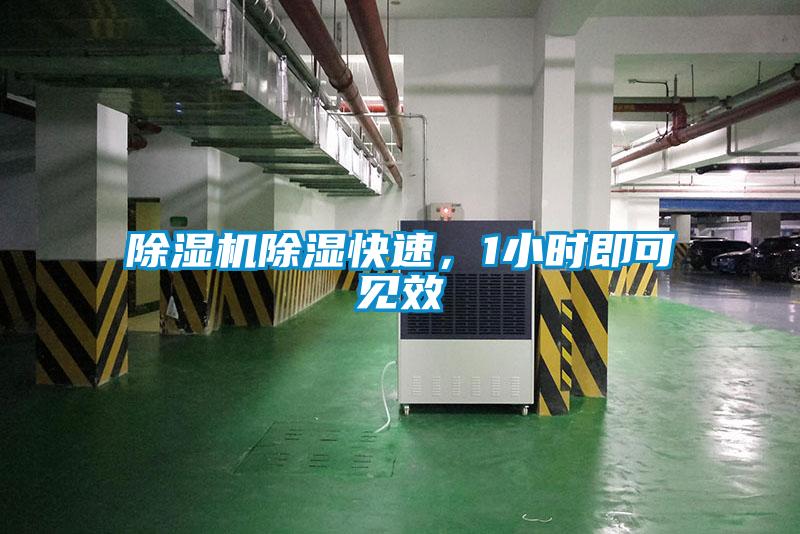 除濕機除濕快速，1小時即可見效