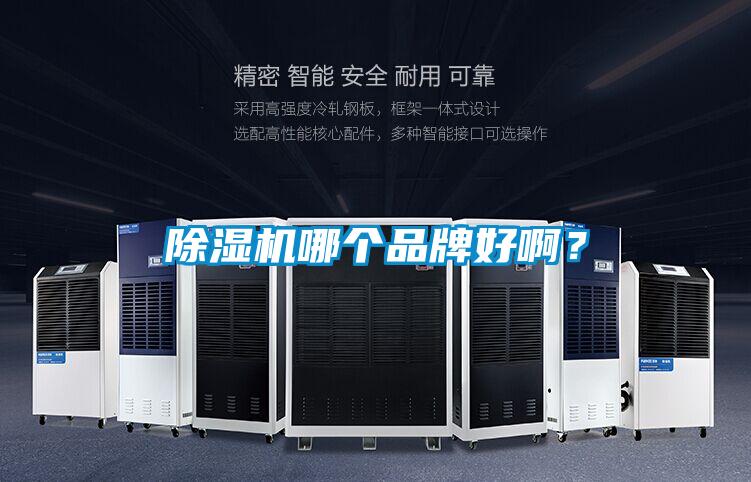 除濕機(jī)哪個品牌好?。?/></p>
						    <p style=