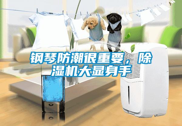鋼琴防潮很重要，除濕機(jī)大顯身手