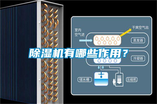 除濕機有哪些作用？
