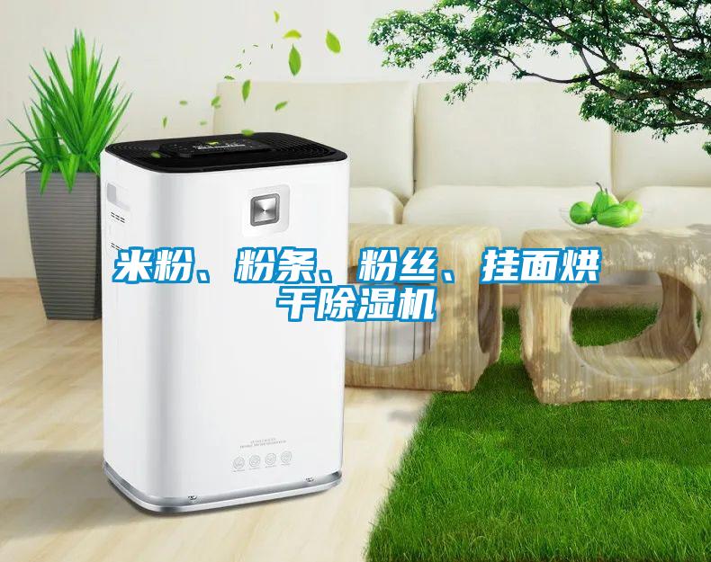 米粉、粉條、粉絲、掛面烘干除濕機(jī)