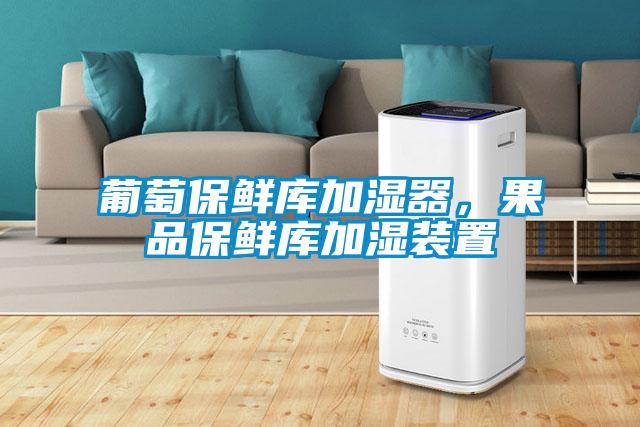 葡萄保鮮庫加濕器，果品保鮮庫加濕裝置