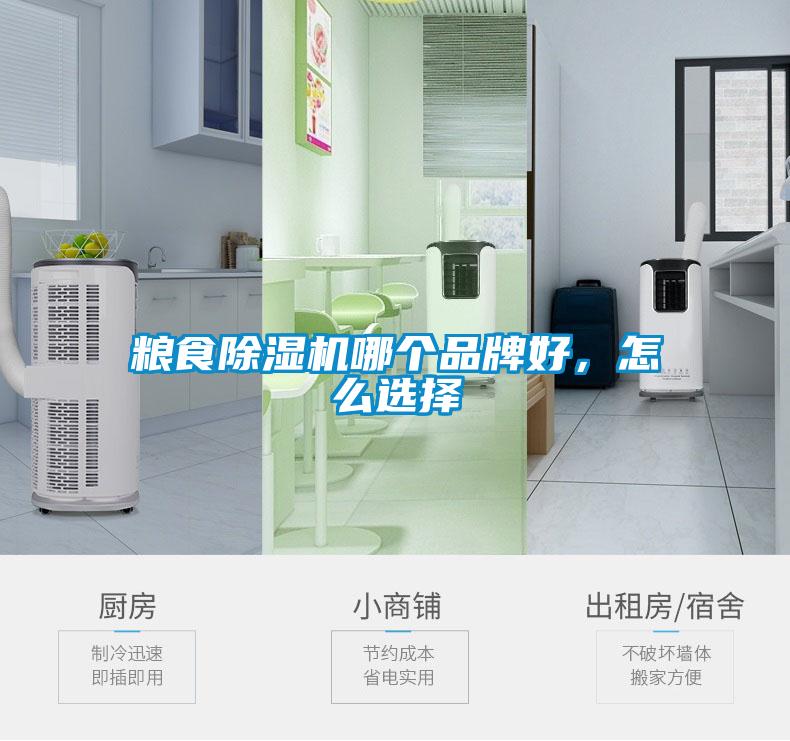 糧食除濕機哪個品牌好，怎么選擇