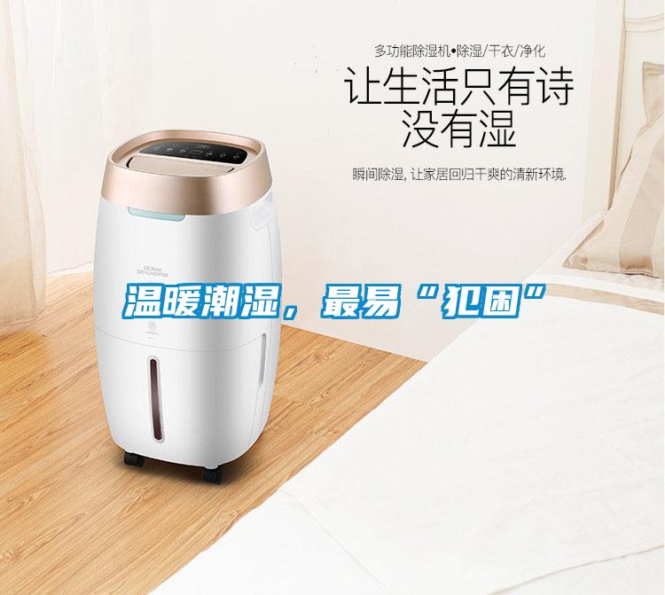 溫暖潮濕，最易“犯困”