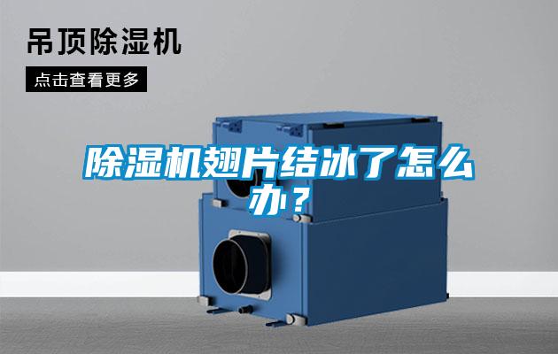 除濕機翅片結(jié)冰了怎么辦？