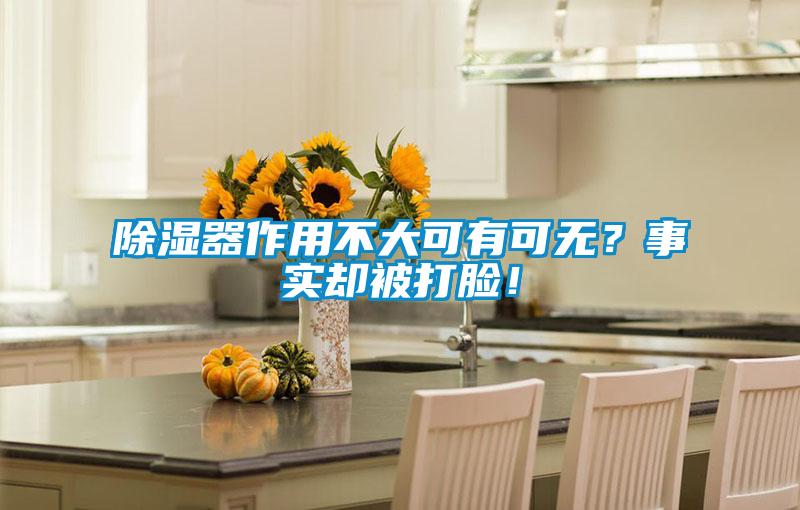 除濕器作用不大可有可無？事實卻被打臉！