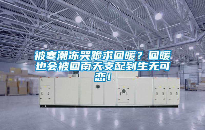 被寒潮凍哭跪求回暖？回暖也會被回南天支配到生無可戀！
