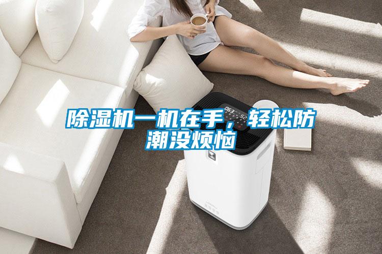除濕機一機在手，輕松防潮沒煩惱