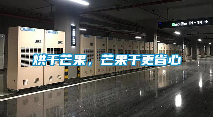 烘干芒果，芒果干更省心