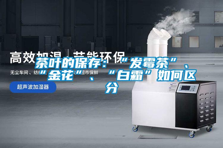 茶葉的保存：“發霉茶”、“金花”、“白霜”如何區分