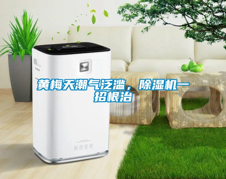 黃梅天潮氣泛濫，除濕機(jī)一招根治