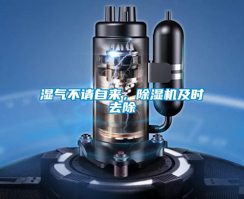 濕氣不請自來，除濕機及時去除