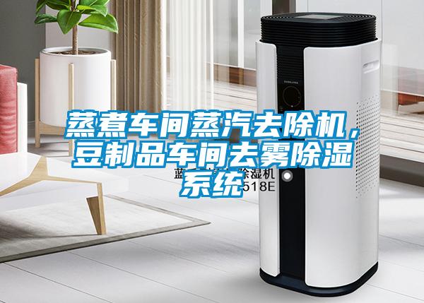 蒸煮車間蒸汽去除機，豆制品車間去霧除濕系統