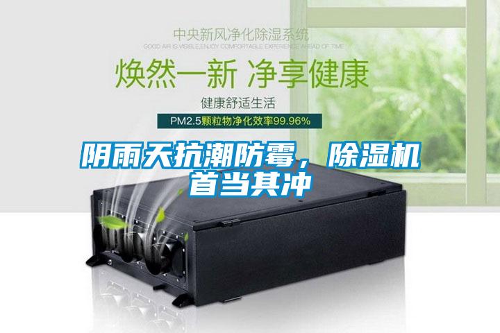 陰雨天抗潮防霉，除濕機首當(dāng)其沖