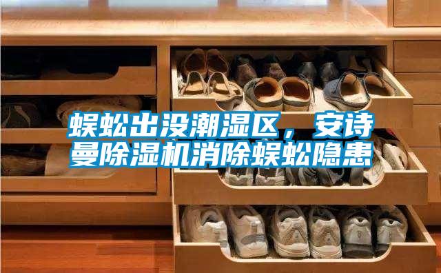 蜈蚣出沒潮濕區(qū)，安詩(shī)曼除濕機(jī)消除蜈蚣隱患