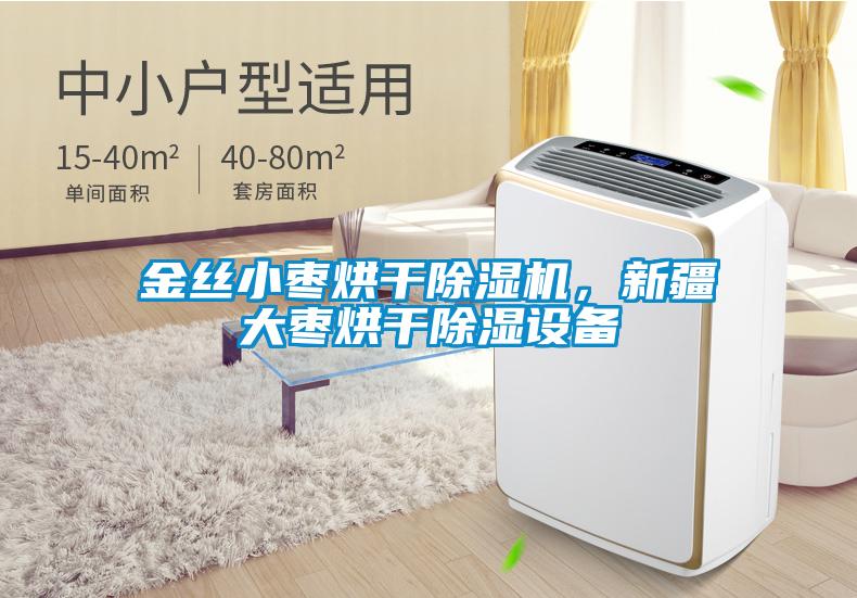 金絲小棗烘干除濕機，新疆大棗烘干除濕設備