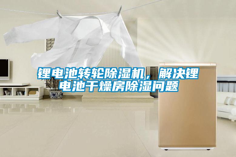 鋰電池轉輪除濕機，解決鋰電池干燥房除濕問題