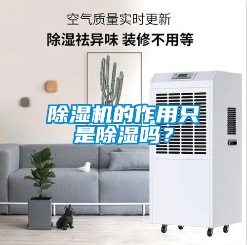 除濕機的作用只是除濕嗎？