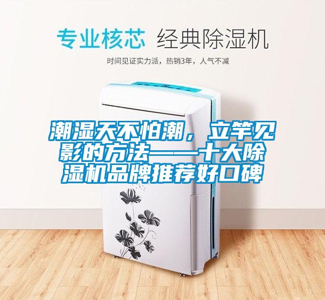 潮濕天不怕潮，立竿見(jiàn)影的方法——十大除濕機(jī)品牌推薦好口碑