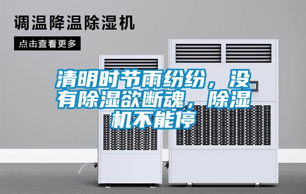 清明時(shí)節(jié)雨紛紛，沒有除濕欲斷魂，除濕機(jī)不能停
