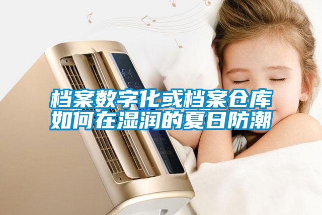 檔案數(shù)字化或檔案?jìng)}庫如何在濕潤(rùn)的夏日防潮