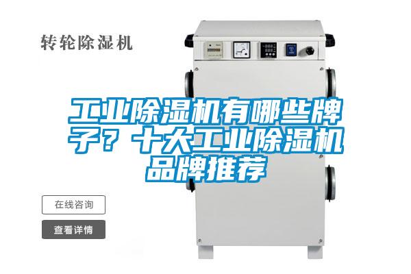 工業除濕機有哪些牌子？十大工業除濕機品牌推薦