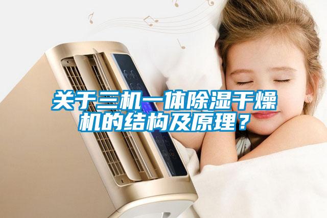 關(guān)于三機一體除濕干燥機的結(jié)構(gòu)及原理？
