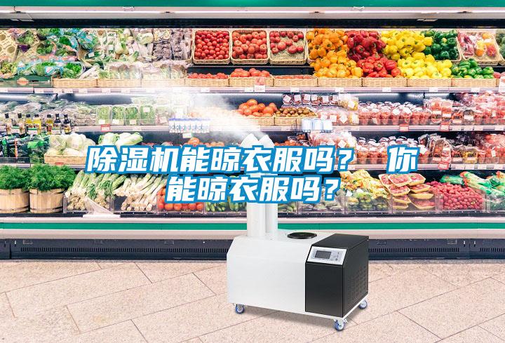 除濕機能晾衣服嗎？ 你能晾衣服嗎？