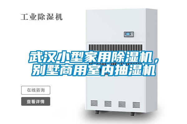 武漢小型家用除濕機，別墅商用室內抽濕機