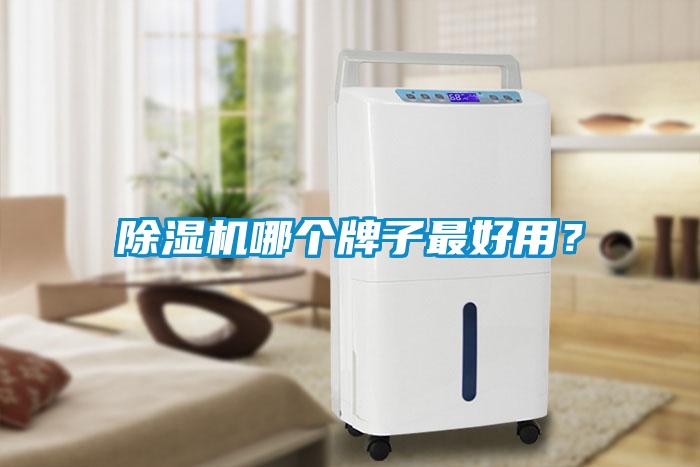 除濕機哪個牌子最好用？