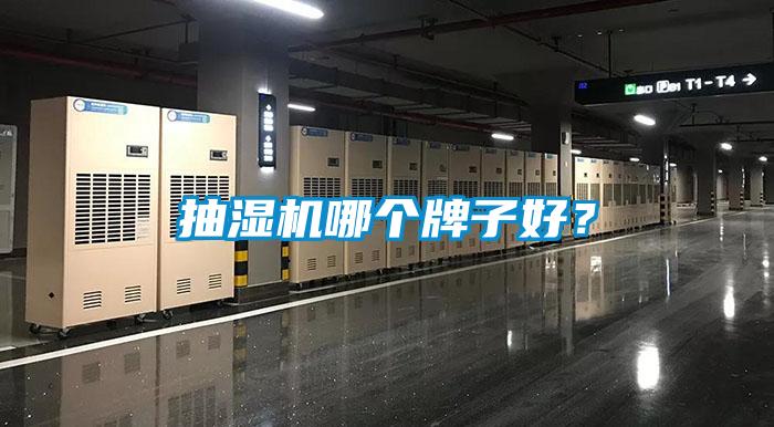 抽濕機哪個牌子好？