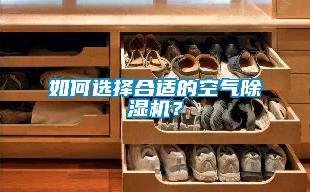 如何選擇合適的空氣除濕機？