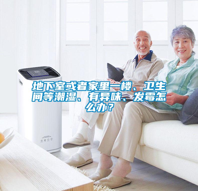 地下室或者家里一樓、衛生間等潮濕、有異味、發霉怎么辦？