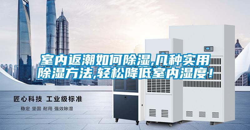 室內返潮如何除濕,幾種實用除濕方法,輕松降低室內濕度！
