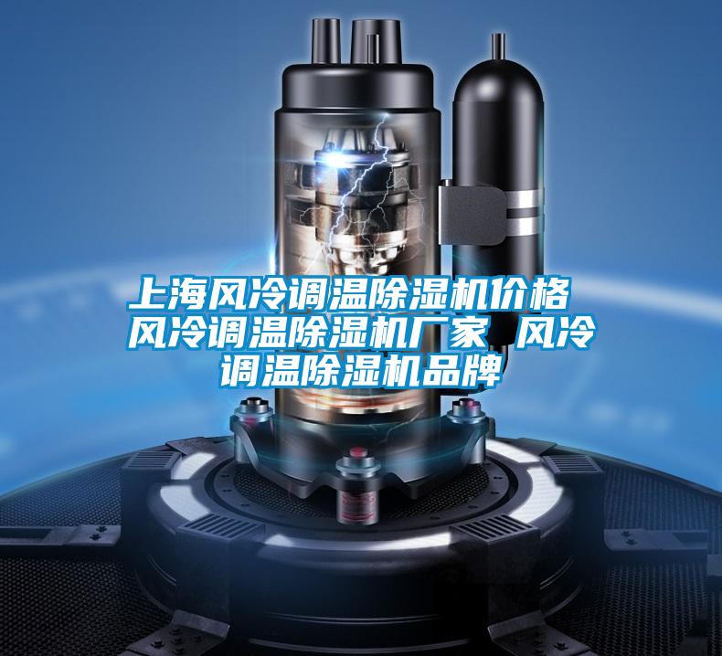 上海風(fēng)冷調(diào)溫除濕機(jī)價(jià)格 風(fēng)冷調(diào)溫除濕機(jī)廠(chǎng)家 風(fēng)冷調(diào)溫除濕機(jī)品牌