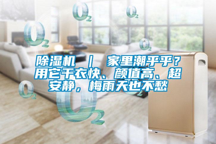 除濕機(jī) ｜ 家里潮乎乎？用它干衣快、顏值高、超安靜，梅雨天也不愁