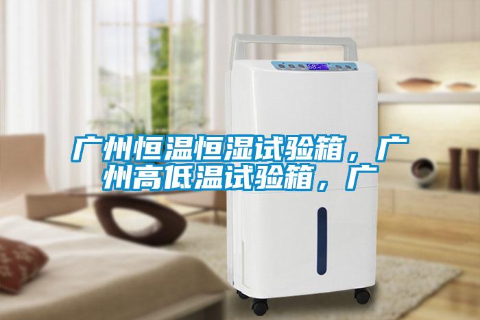 廣州恒溫恒濕試驗箱，廣州高低溫試驗箱，廣