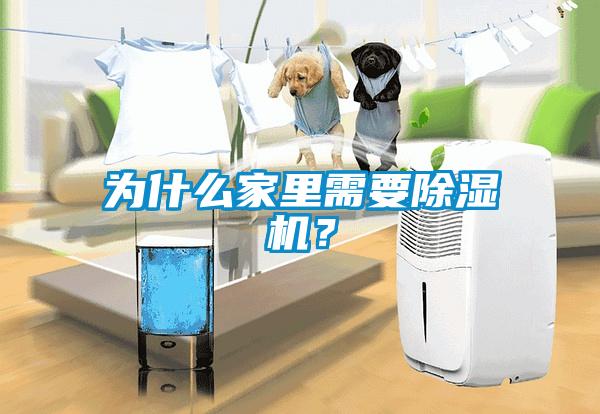 為什么家里需要除濕機？