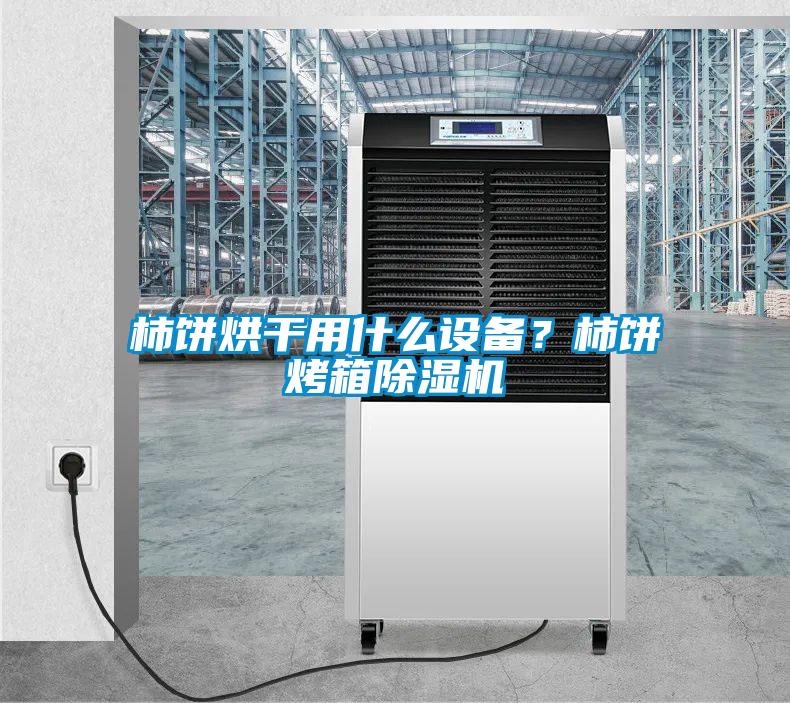 柿餅烘干用什么設備？柿餅烤箱除濕機