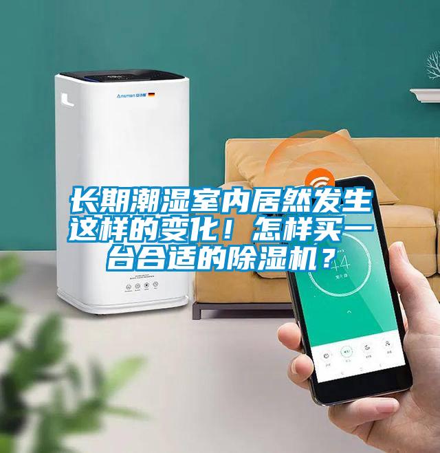 長期潮濕室內居然發生這樣的變化！怎樣買一臺合適的除濕機？