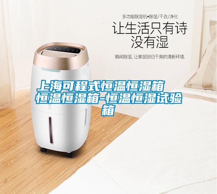上?？沙淌胶銣睾銤裣? 恒溫恒濕箱-恒溫恒濕試驗箱