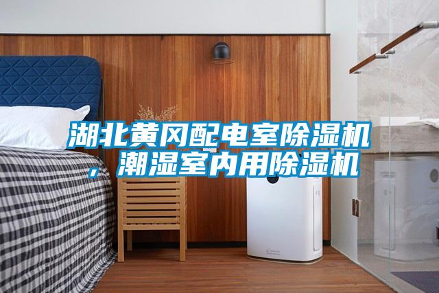 湖北黃岡配電室除濕機，潮濕室內用除濕機