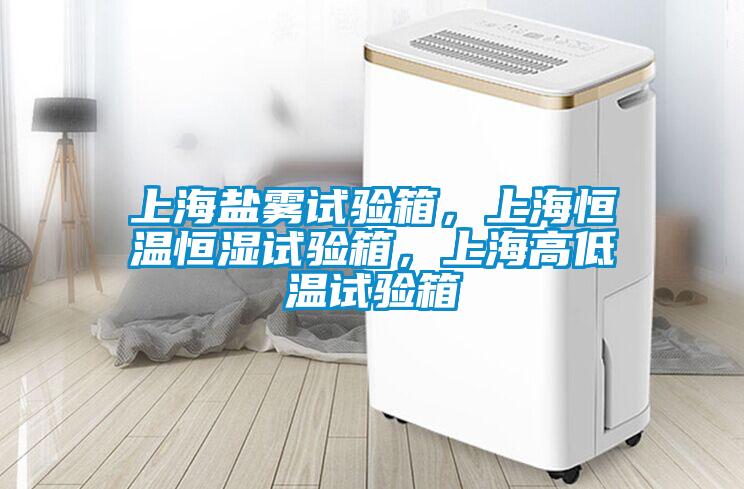 上海鹽霧試驗箱，上海恒溫恒濕試驗箱，上海高低溫試驗箱