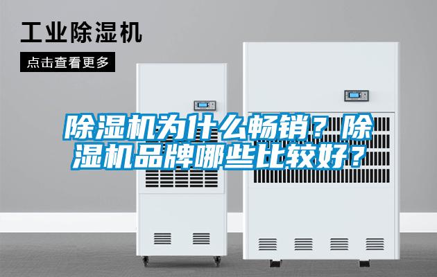 除濕機(jī)為什么暢銷？除濕機(jī)品牌哪些比較好？