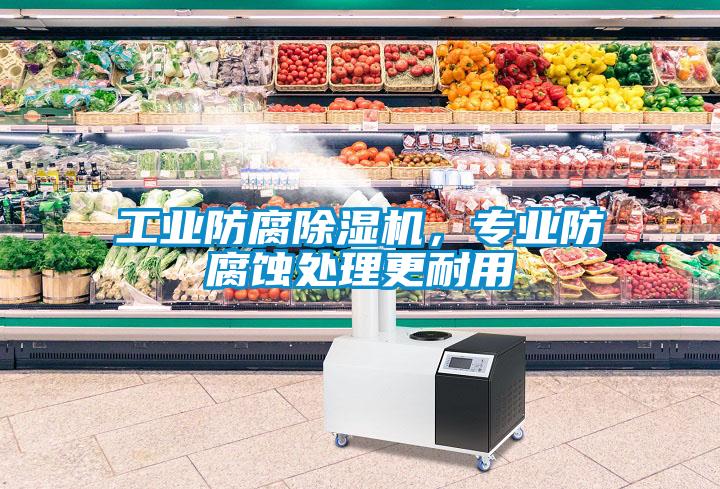 工業(yè)防腐除濕機，專業(yè)防腐蝕處理更耐用