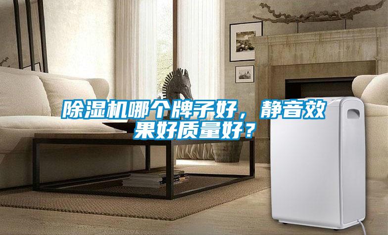 除濕機哪個牌子好，靜音效果好質量好？
