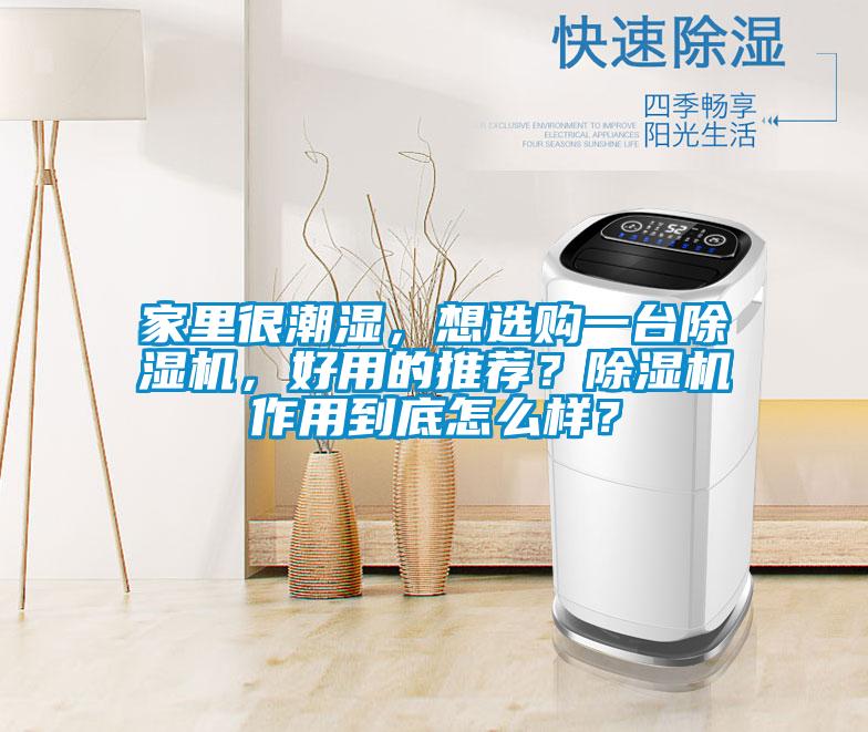 家里很潮濕，想選購一臺除濕機，好用的推薦？除濕機作用到底怎么樣？