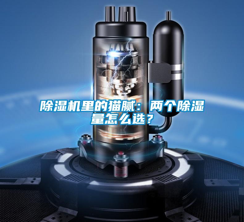 除濕機里的貓膩：兩個除濕量怎么選？
