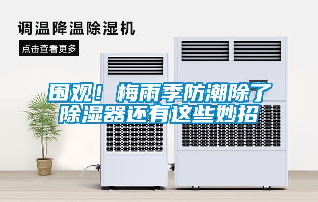 圍觀！梅雨季防潮除了除濕器還有這些妙招